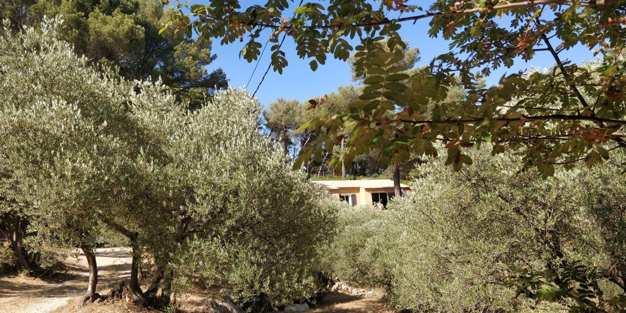 Villa Cigalons En Pleine Pinede Avec Piscine Chauffee De Mai A Septembre Auriol Dış mekan fotoğraf