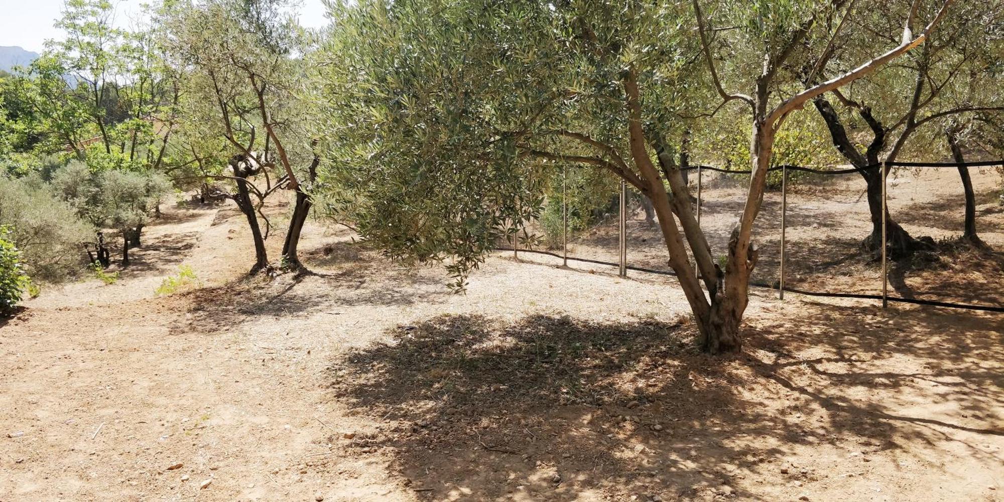 Villa Cigalons En Pleine Pinede Avec Piscine Chauffee De Mai A Septembre Auriol Dış mekan fotoğraf