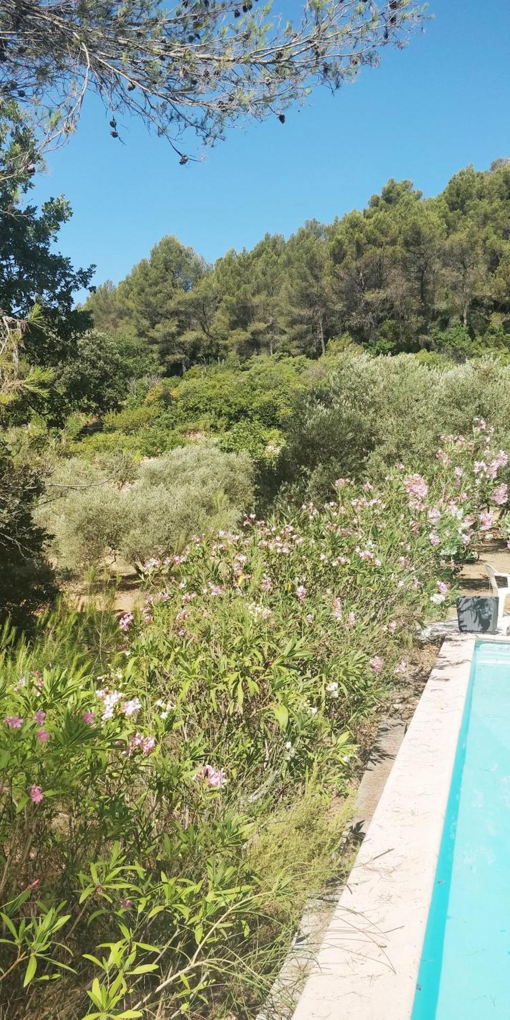 Villa Cigalons En Pleine Pinede Avec Piscine Chauffee De Mai A Septembre Auriol Dış mekan fotoğraf