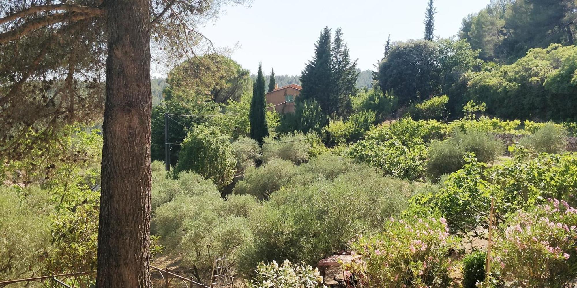Villa Cigalons En Pleine Pinede Avec Piscine Chauffee De Mai A Septembre Auriol Dış mekan fotoğraf