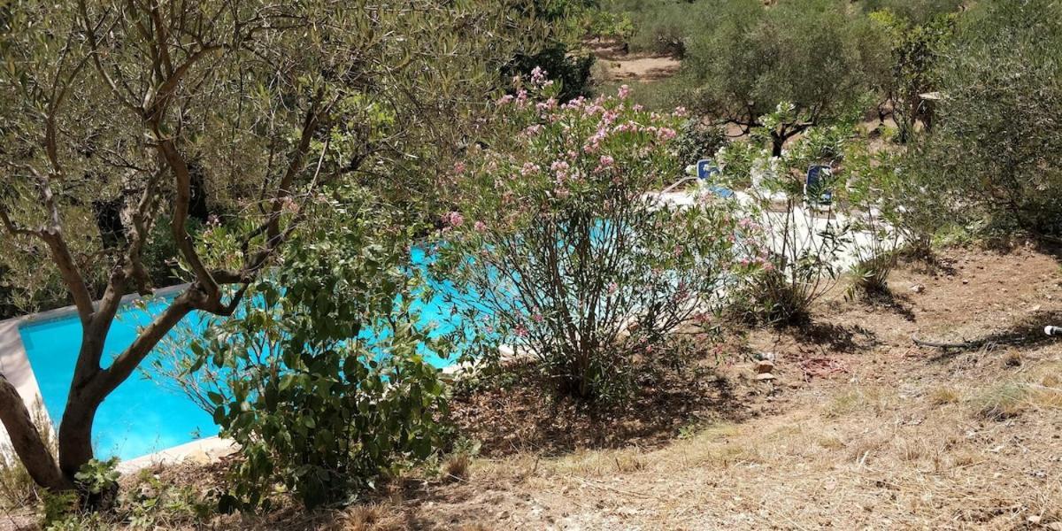 Villa Cigalons En Pleine Pinede Avec Piscine Chauffee De Mai A Septembre Auriol Dış mekan fotoğraf