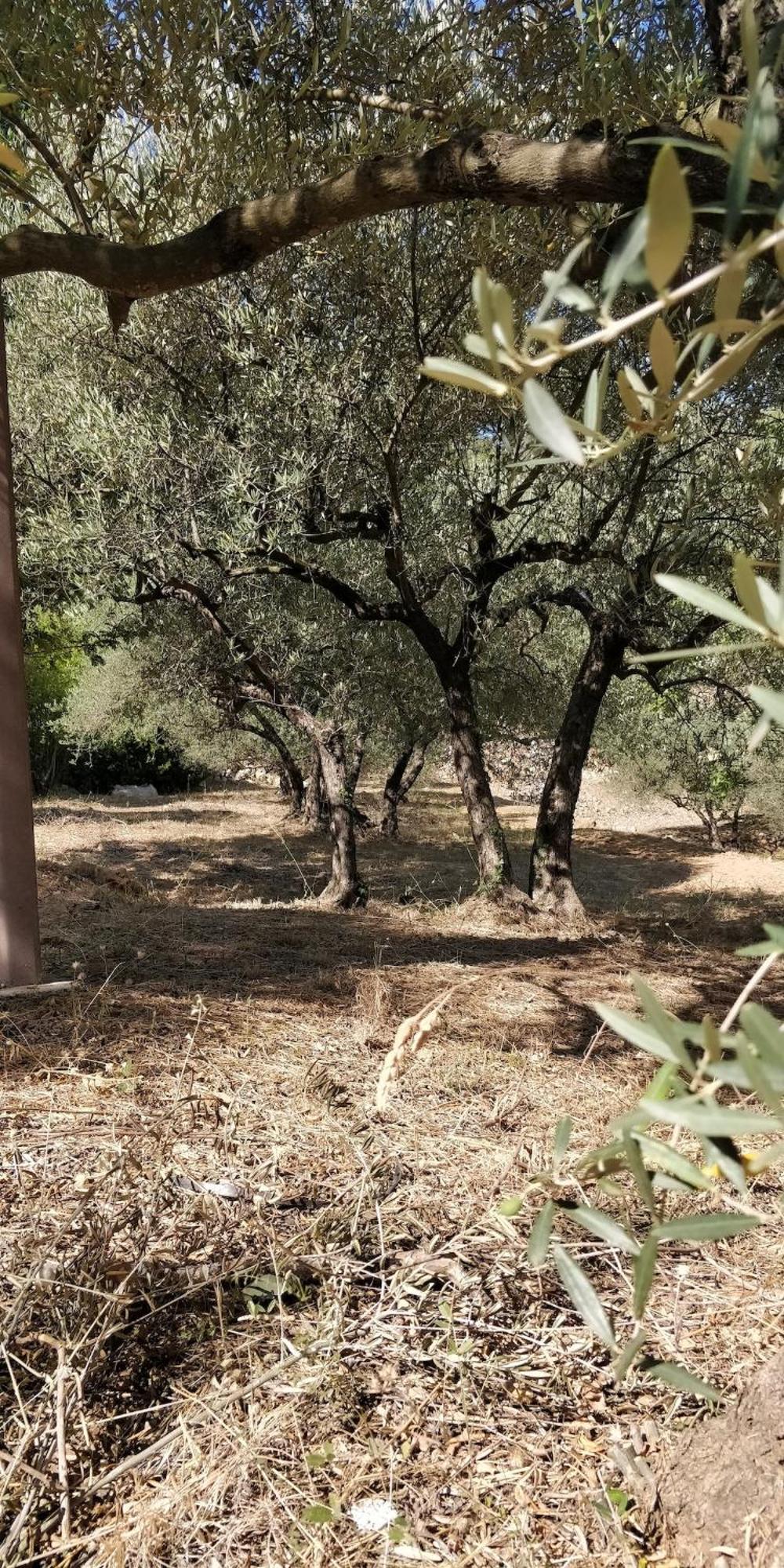 Villa Cigalons En Pleine Pinede Avec Piscine Chauffee De Mai A Septembre Auriol Dış mekan fotoğraf